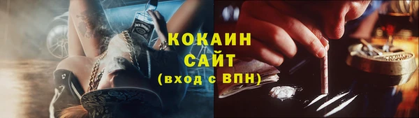 прущая мука Богородицк