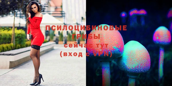мет Белокуриха