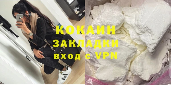 прущие грибы Богородск
